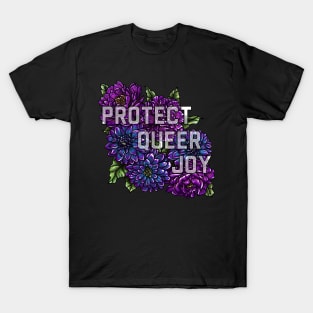 Protect Queer Joy Bi T-Shirt